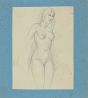 Alluring Nude Woman