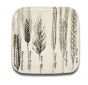 Six "Spikes" series Dishes by Piero Fornasetti - Decorative Objects 