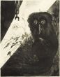  Owl by Leo Guida - Contemporary Artwork