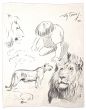 Study of lions and child by Wilhelm Lorenz