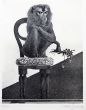 Flying, Guida, Prints, Burin, Etching, Drypoint, Black and white, Contemporary, Artwork