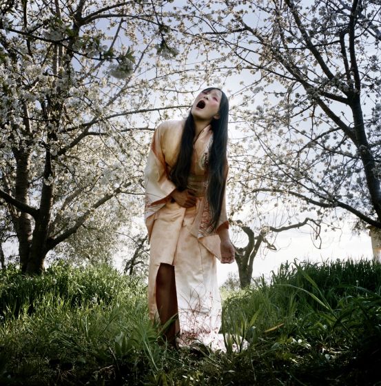 Madama Butterfly by Angelo Cricchi - Contemporary Artwork