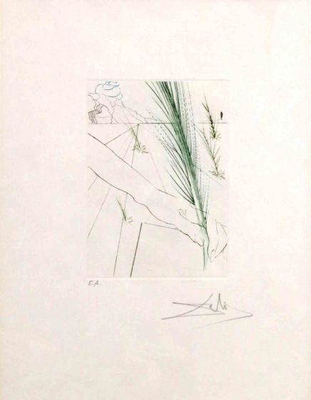 Salvador Dalì - Love's Labour Lost - Contemporary Artwork
