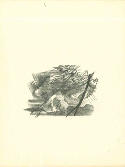 The Storm