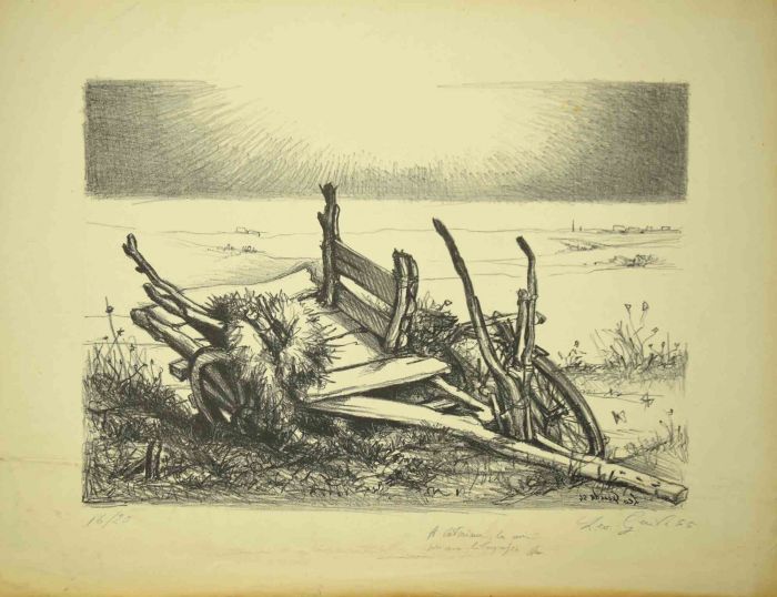 Desert Landscape
