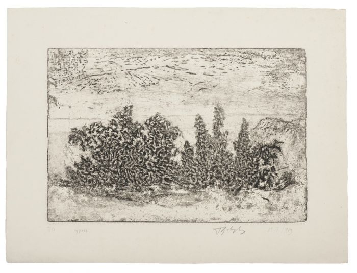"Landscape" is an original print in etching technique on ivory-colored paper,  by Anonymous Artist of the XX Century  