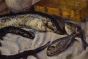 Still Life with Fishes by an Italian artist of XIX century - Modern Artwork