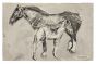 "Horse"  is an original black watercolored ink drawing ion ivory-colored paper, signed by Germaine Nordmann (1902-1997).