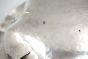 Vintage Silver Centerpiece - Decorative Objects