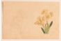 Flowers by E.Laporte - Contemporary Artwork