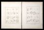 Portraits of Men and Women