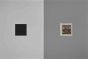 Antiquities of Herculaneum -  Letter of the Alphabet  Q