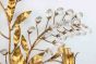  Gilded Brass Applique
