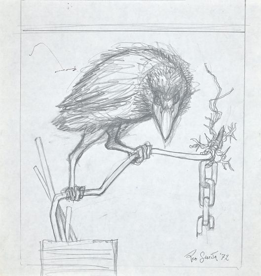 The Crow