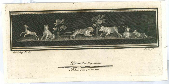 Ancient Roman Animals - Carlo Nolli - Old Master's Artwork