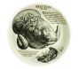 Rhyton - for Martini&Rossi by Piero Fornasetti - Design and Decorative Object