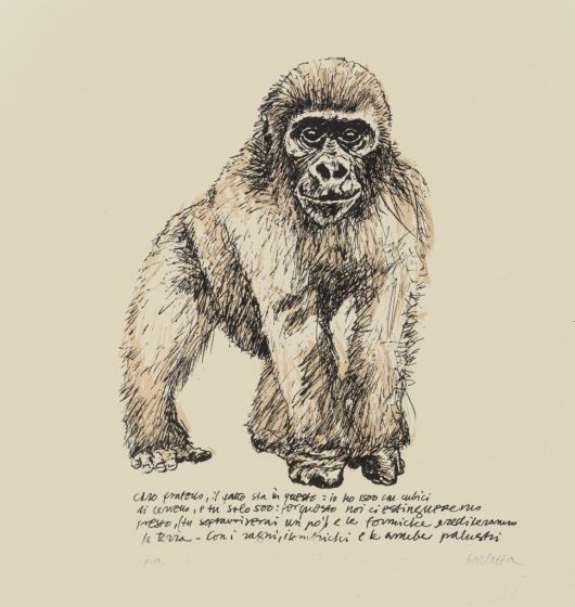 Monkey is an original lithograph on cardboard, realized by Sergio Barletta in 1960.