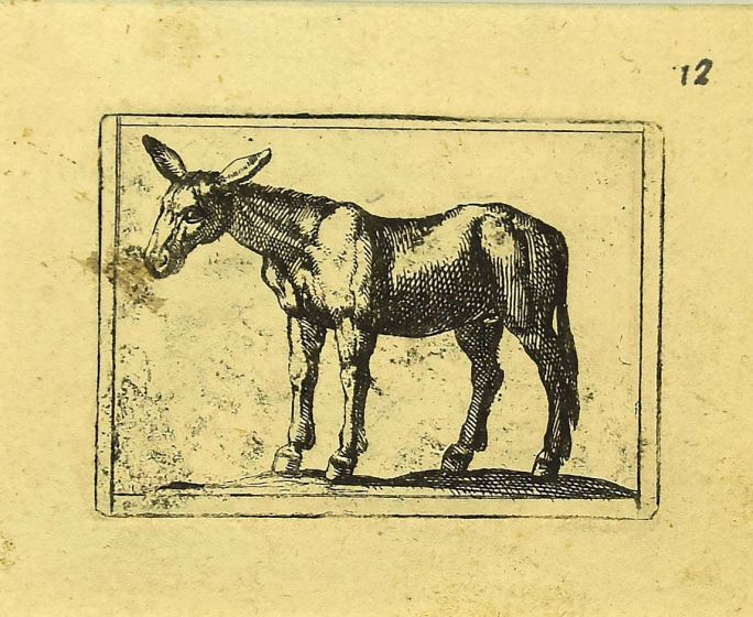 Mule by Antonio Tempesta - Artwork 
