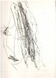 Fragments by Jannis Kounellis -  Contemporary Artworks