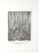 Beeches by  Augusto Sezanne - Modern Artwork