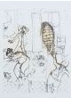 Metamorphosis by Franco Gentilini - Contemporary Artwork