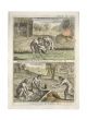Pariah Way of healing fevered people and Funeral Ceremony by Gianfrancesco Pivati - Old Master Artwork