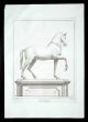 Ancient Roman statue of the Horse