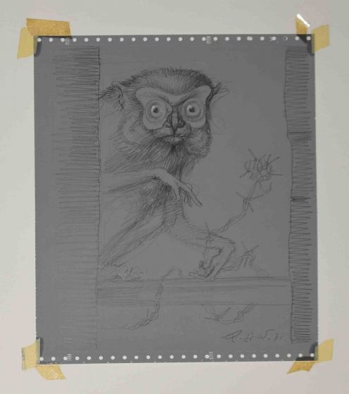 Lemur