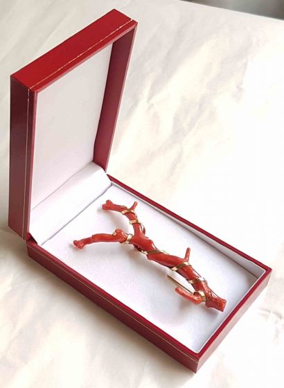 Coral and Gold Brosh - Jewellery 