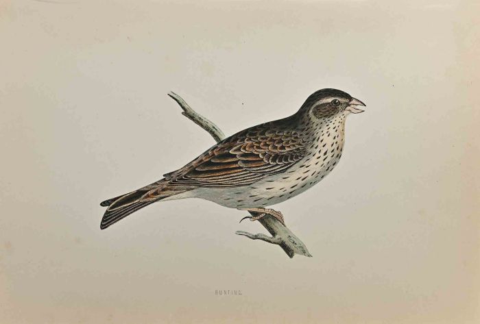 Bunting