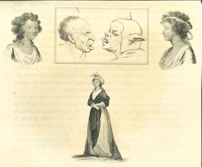 Profiles