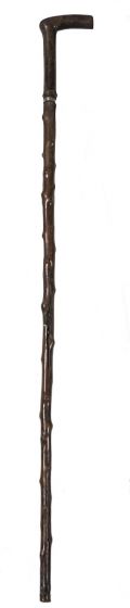 Garibaldi's Walking Stick by Anonymous - Decorative Object