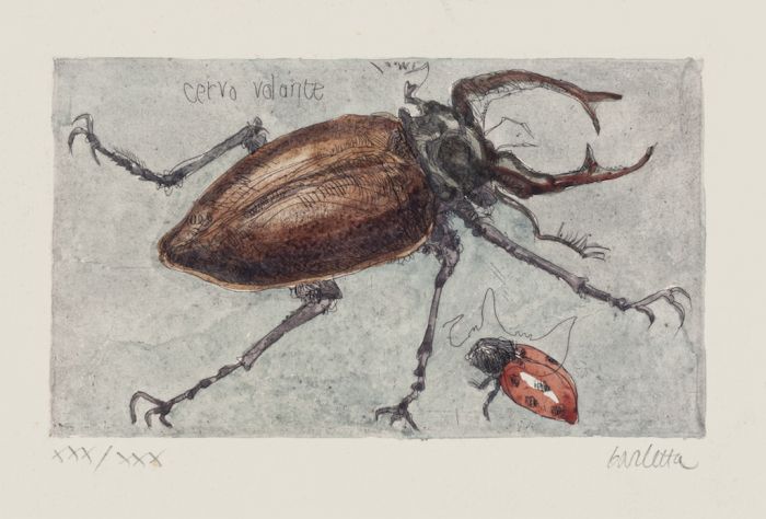 "Insect" by Sergio Barletta - Contemporary Artwork