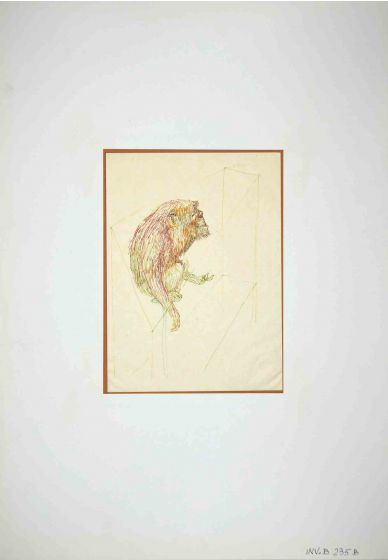Monkey