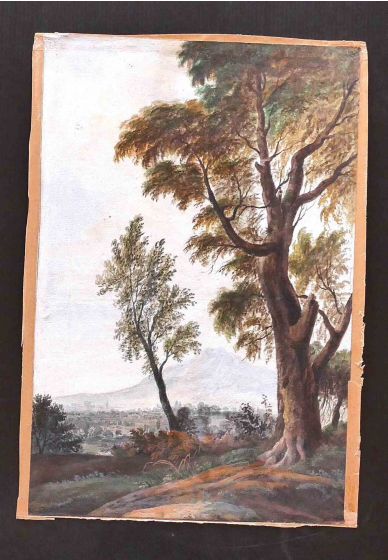 Landscape