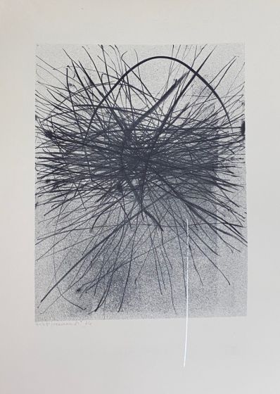 Variations in the Ether is a splendid lithograph and serigraph engraved by Gianni Saccomandi.