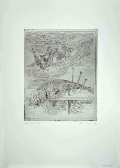 Fish and Birds