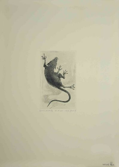 Flight of the Rat