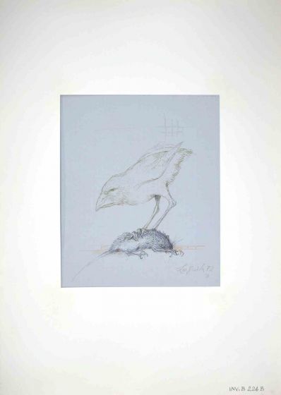 Bird