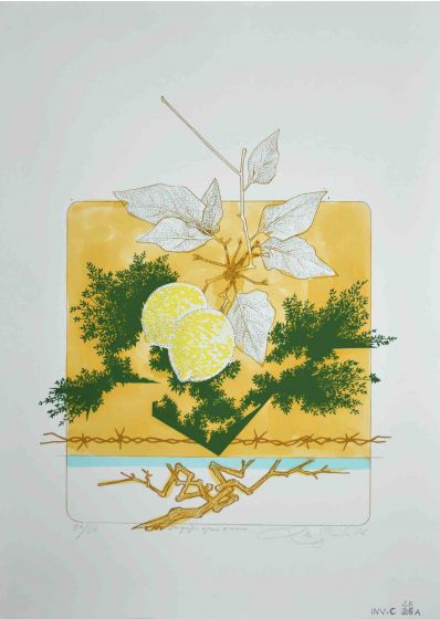 Still Life