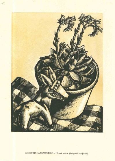 Giuseppe Haas-Triverio - Still Life - Modern Artwork
