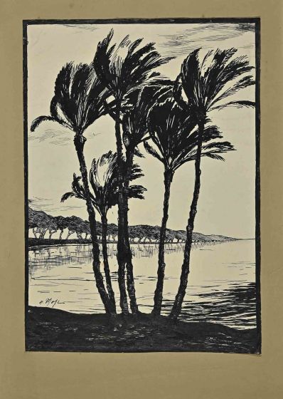 Palm Trees