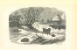 The Hedgehog and Dog In Winter Of  Village