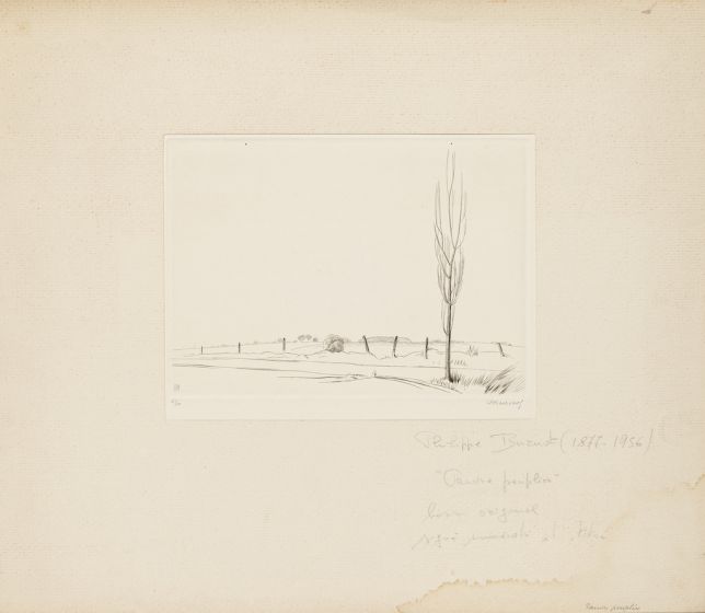 Sole Tree by Philippe Burnot - Modern Artwork