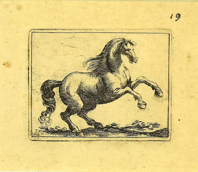 The Horse by Antonio Tempesta - Artwork 