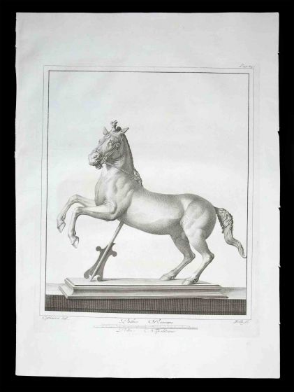 Ancient Roman Statue of the horse