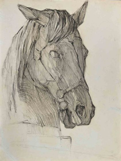 Horse's Head