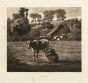 Le Moulin by J. F. Millet