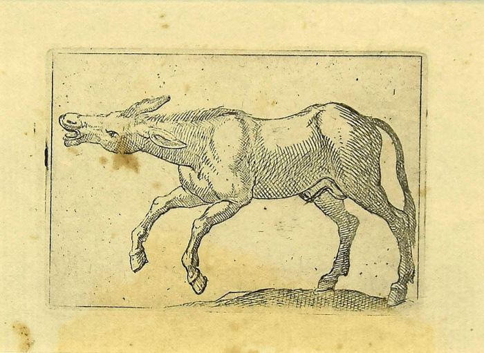 The donkey by Antonio Tempesta - Artwork 