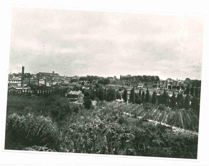 View Of Rome - Vintage Photograph    